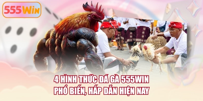 4 hình thức đá gà 555WIN phổ biến, hấp dẫn hiện nay